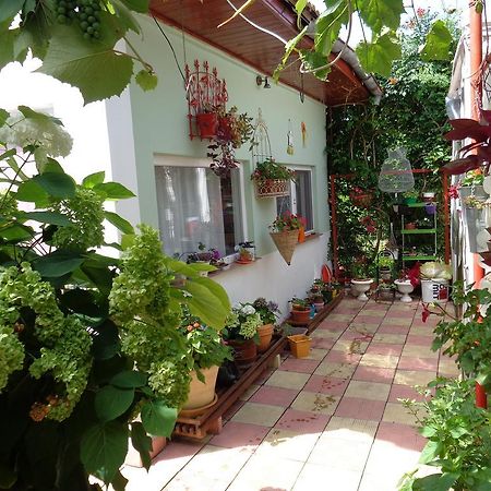 Apartmán Casa Munteanu Eforie Nord Exteriér fotografie